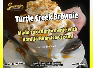 Turtle Creek Brownie